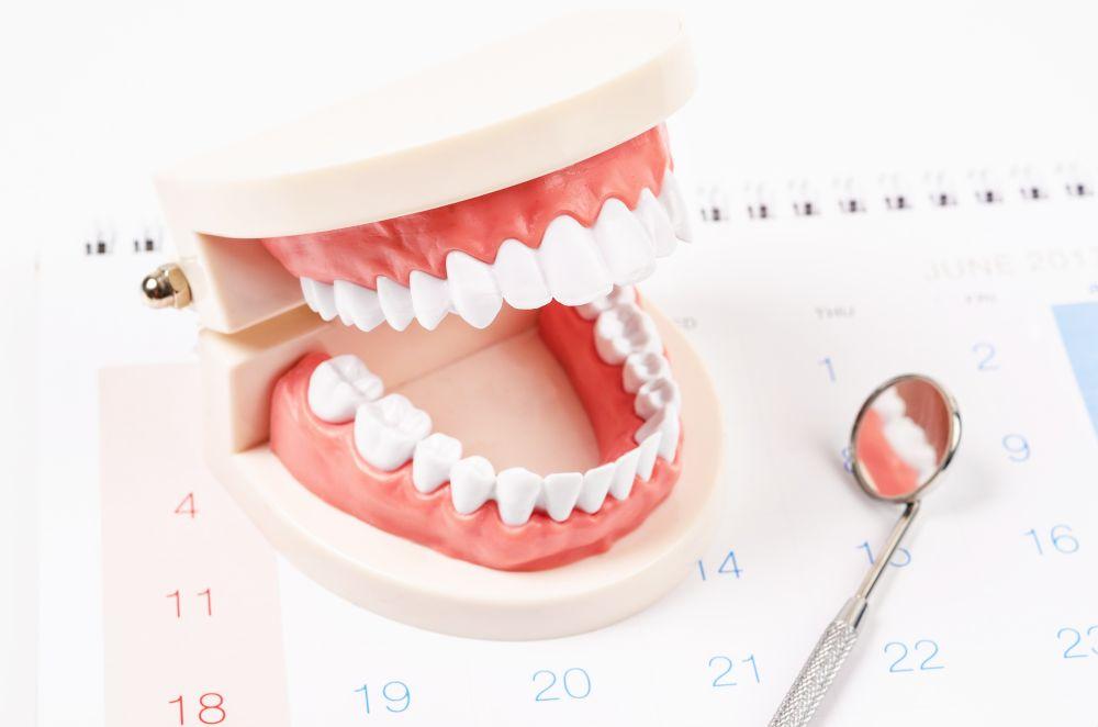 歯の模型と治療器具