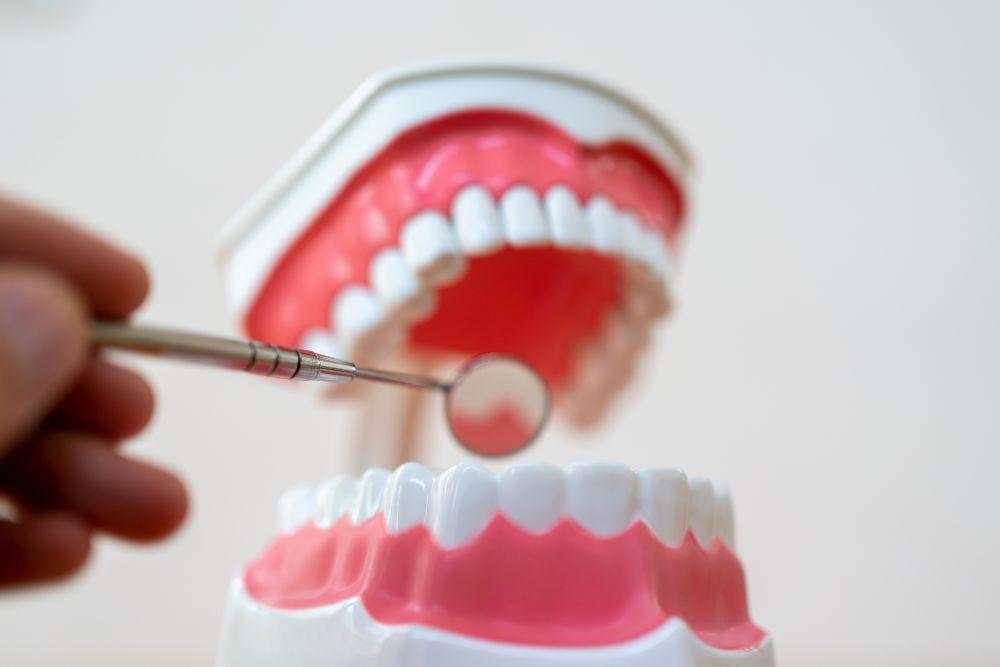 歯の模型と治療器具の鏡